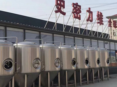 巴马精酿啤酒设备厂—如何判断精酿啤酒设备的密封件需要更换？